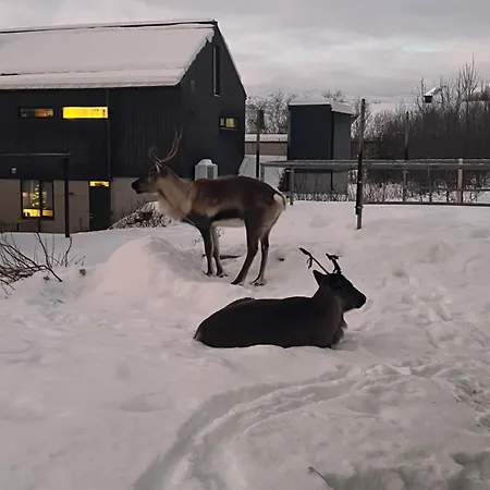 And Warm With Free Parking Apartamento *