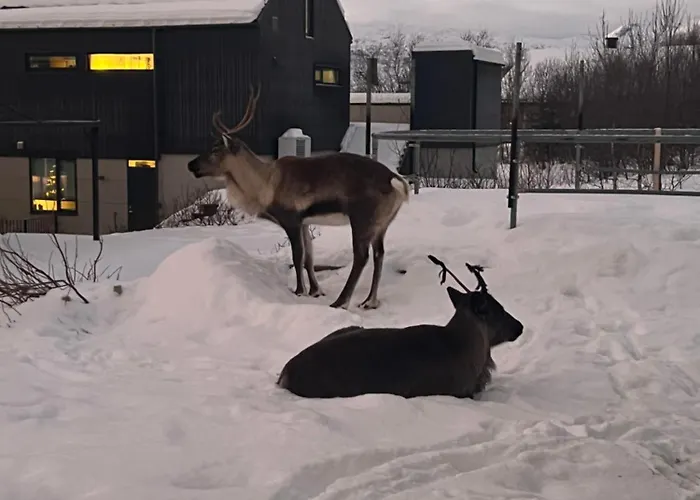 And Warm With Free Parking דירה *