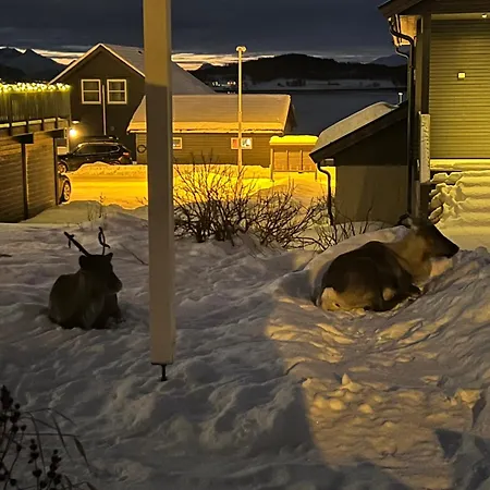 And Warm With Free Parking Tromsø